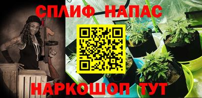 СК Тара