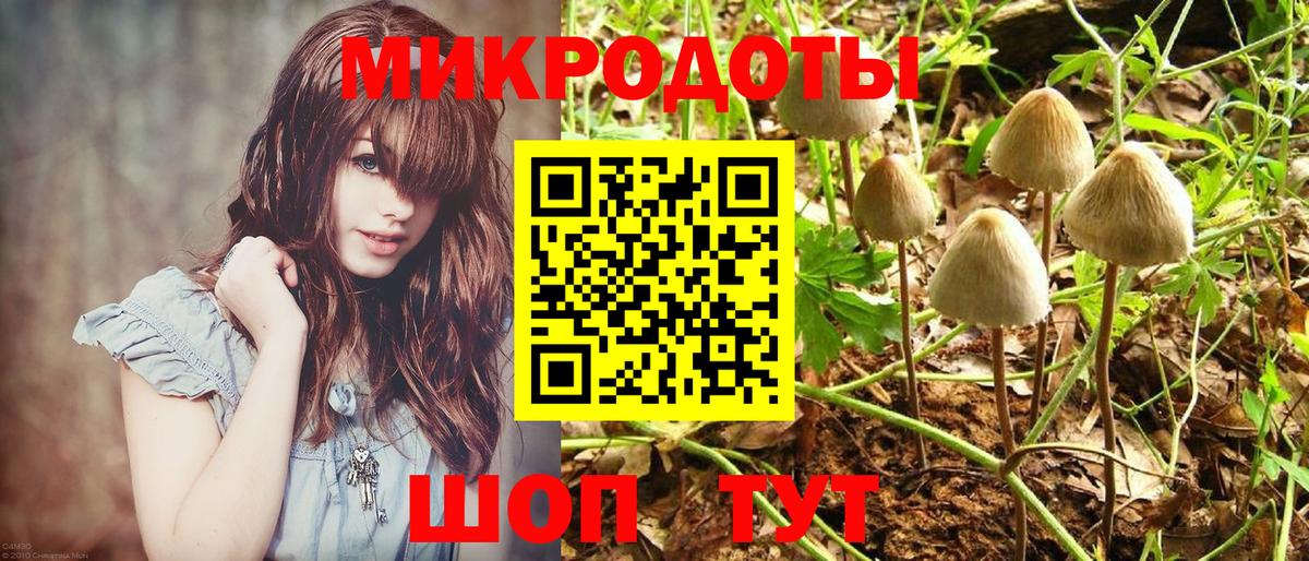 Псилоцибиновые грибы Cubensis  Вход с VPN  Новоалександровск 